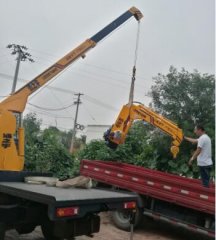小吊车三轮吊运机随车吊异型小吊机汽车吊小型吊车小型吊机单臂吊