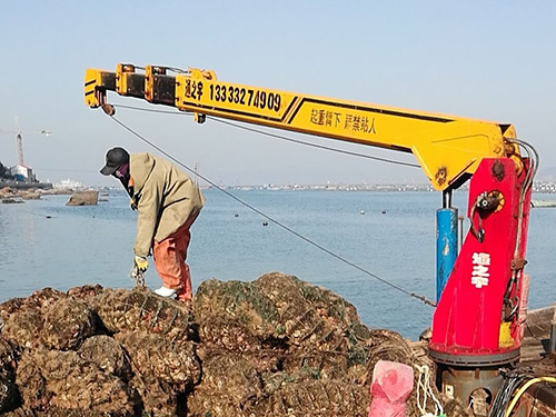 国产69精品久久久久人妻